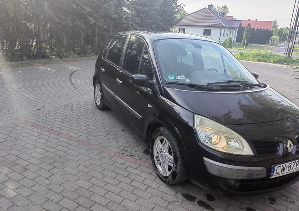 Renault Scenic cena 11500 przebieg: 257061, rok produkcji 2007 z Włocławek małe 56